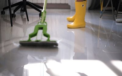 The Importance of Timely Water Damage Restoration